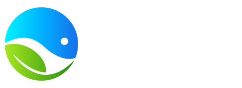 九九号